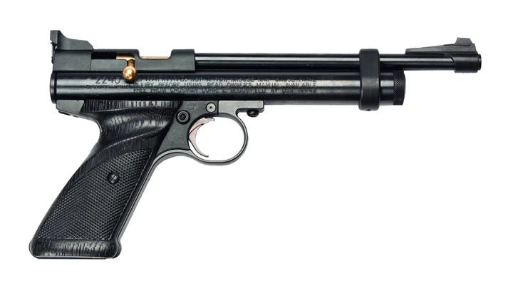 Crosman 2240 Co2 Pistol .22