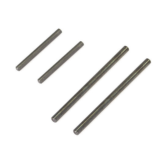 FTX CARNAGE/Outlaw Hinge Pin Set (2PCS)