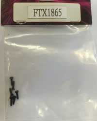 FTX Roxster 2 X 6mm TP Screw