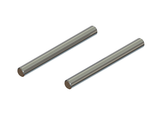 Hinge Pin Set 3x31mm (2)